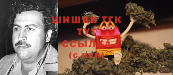 винт Верея